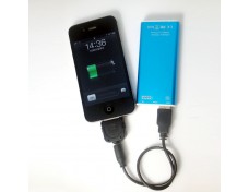 Mobile charger